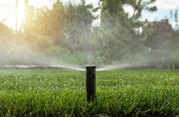 The Importance of Sprinklers