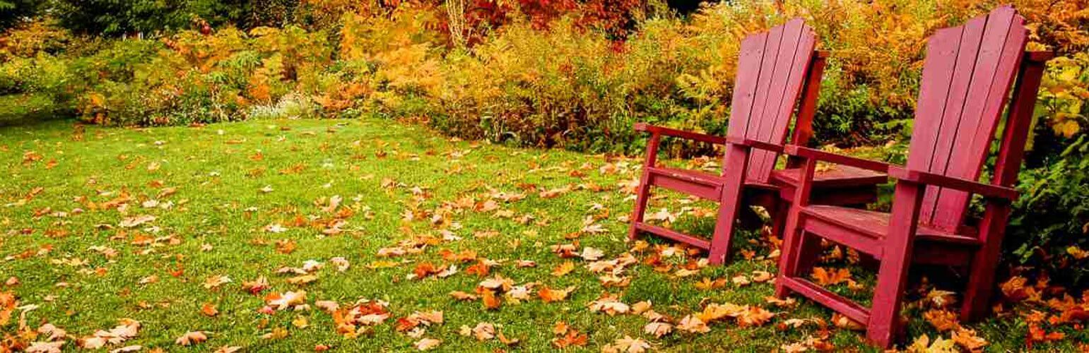 Fall Prep for Zones 5-8