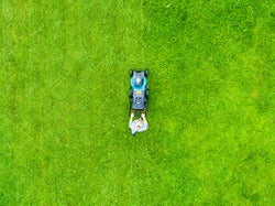 Lawn Mower Maintenance for Zoysia