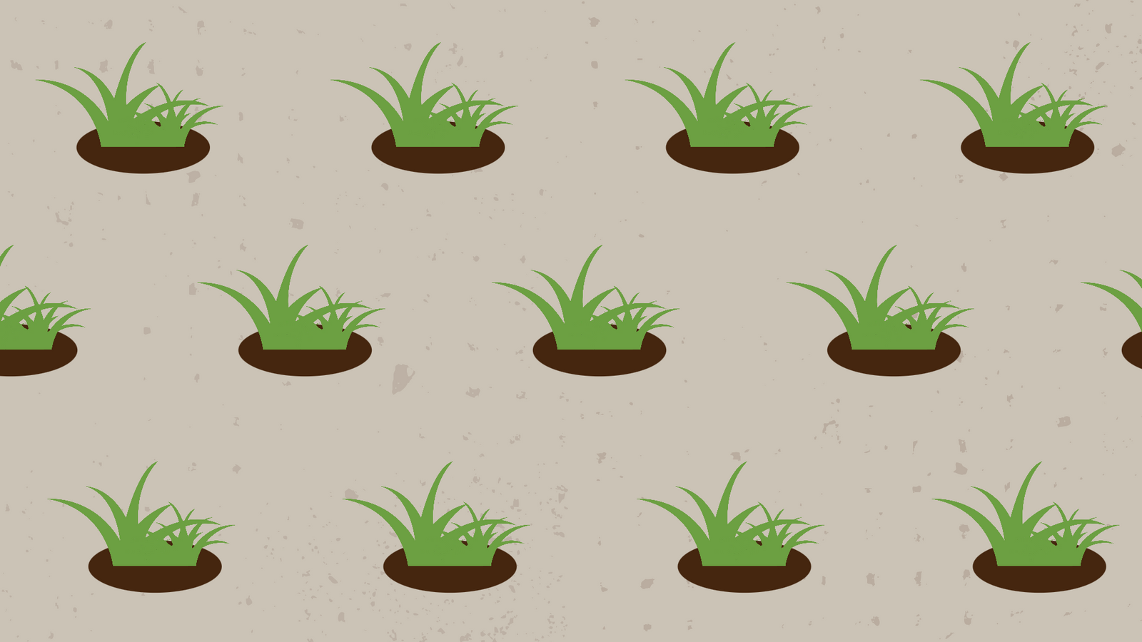 Converting your Existing Lawn to Zoysiagrass