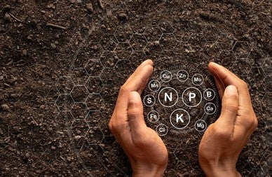 Soil Testing & Why It's So Important