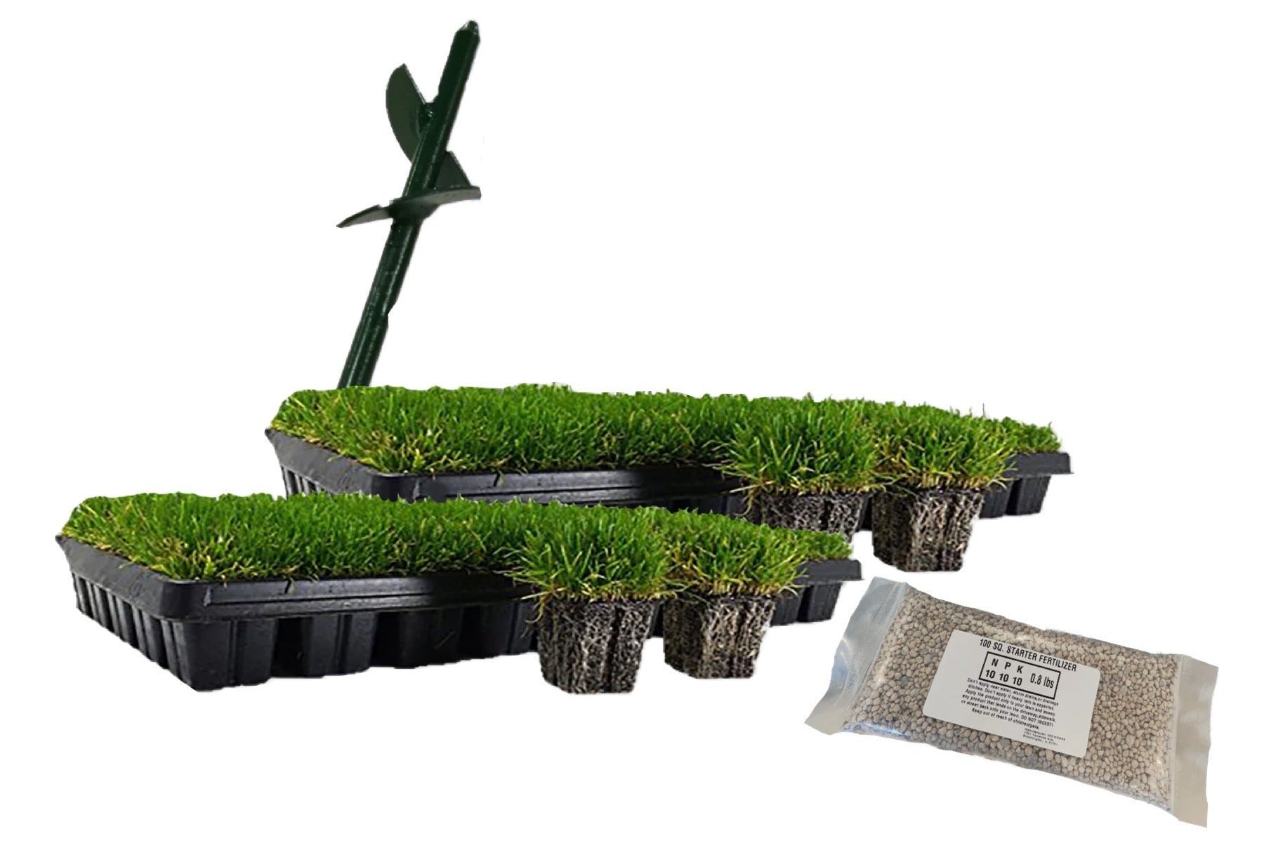 High Quality Zoysia Plugs