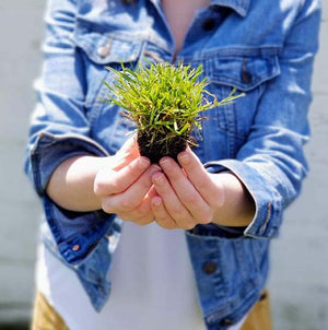 hands holding a single plug